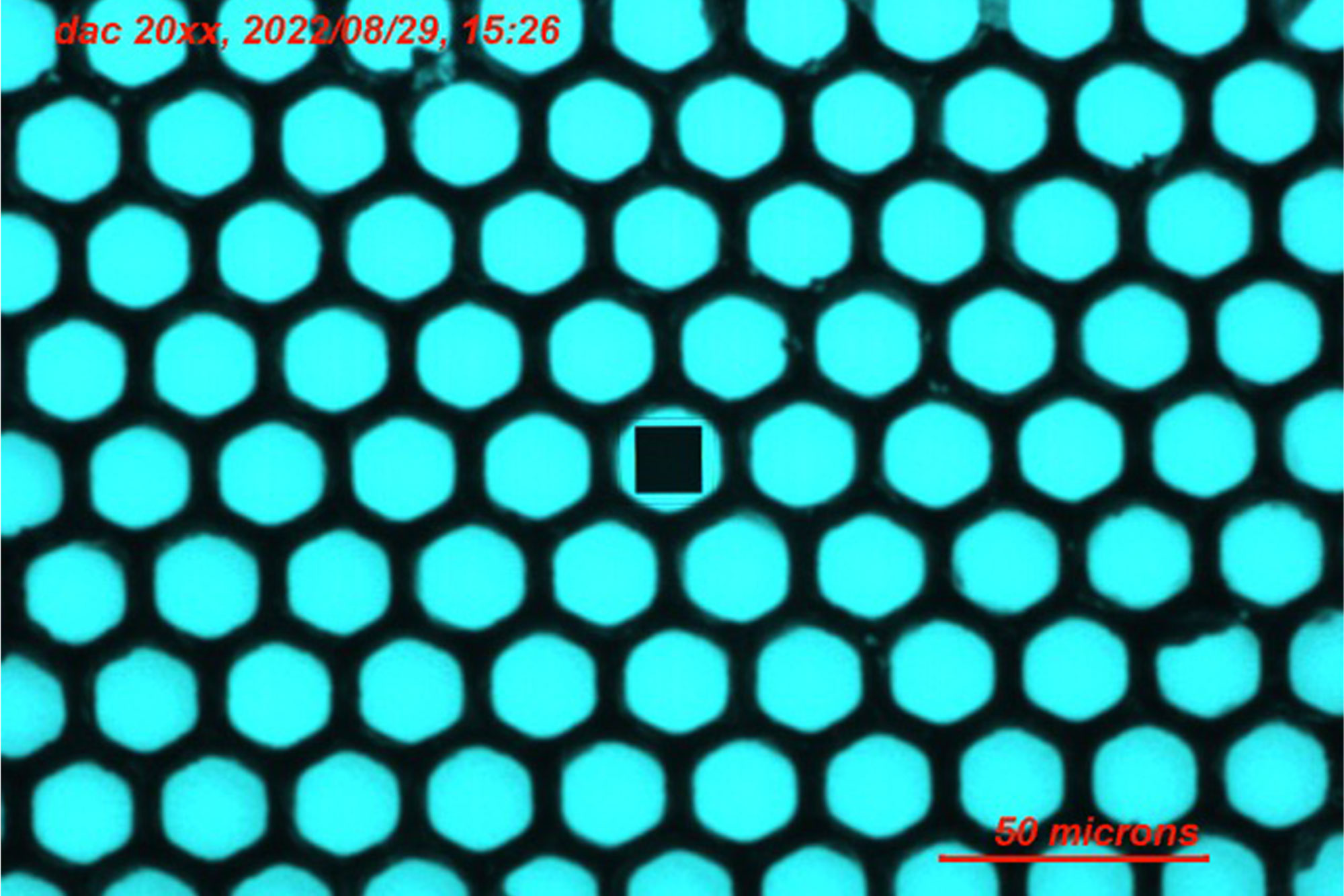 Image of a prototype x-ray detector showing the structuring of the sensor elements to achieve improved detector resolution. The scintillator material that responds to the x-rays is nanoparticle perovskite, CsPbBr3, produced in the Ou Chen laboratory.