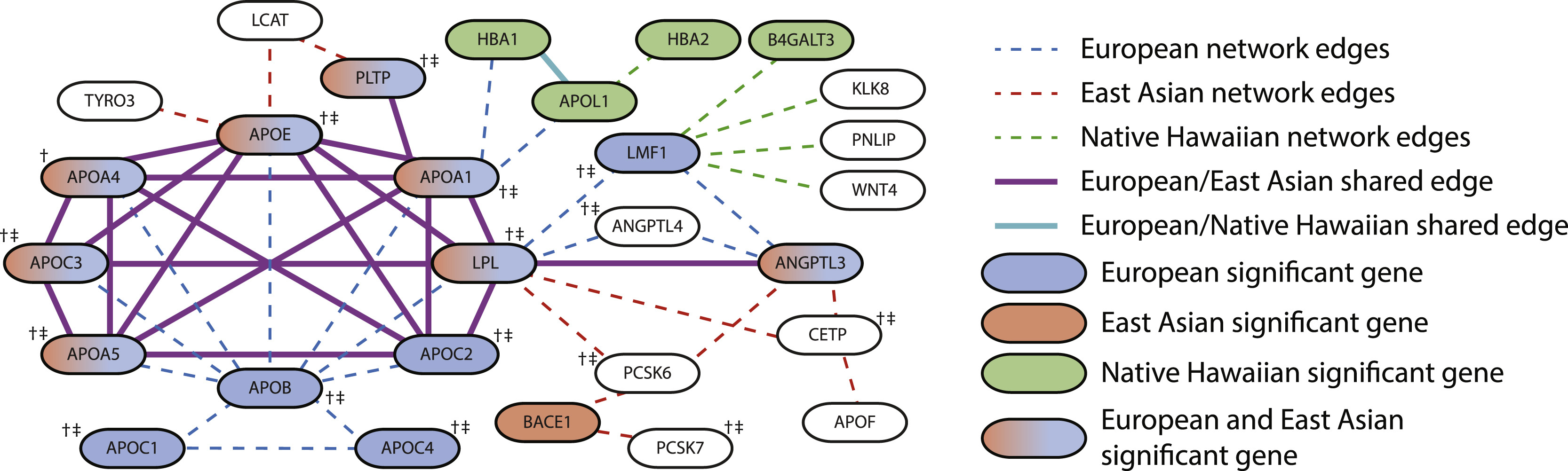 Using network enrichment methods, which aggregate information from studies of mutations and gene analyses, researchers can find subtle and previously undetected commonalities among different ancestry groups.