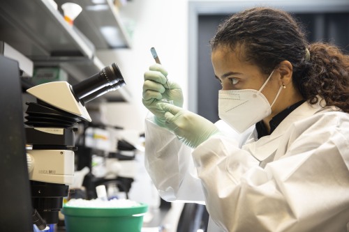 A Brown University student in a lab