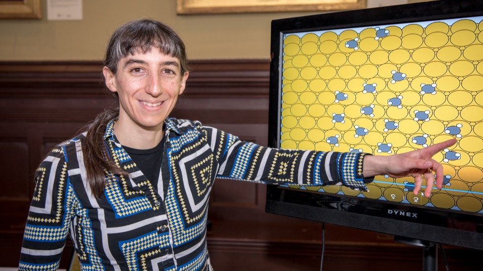 Brenda Rubenstein, associate professor of chemistry and physics, points to a simulation of methane absorbing to a gold electrode in a quantum computer